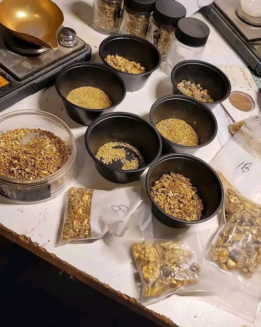 Assay laboratory bench with sorted gold samples in pans and jars