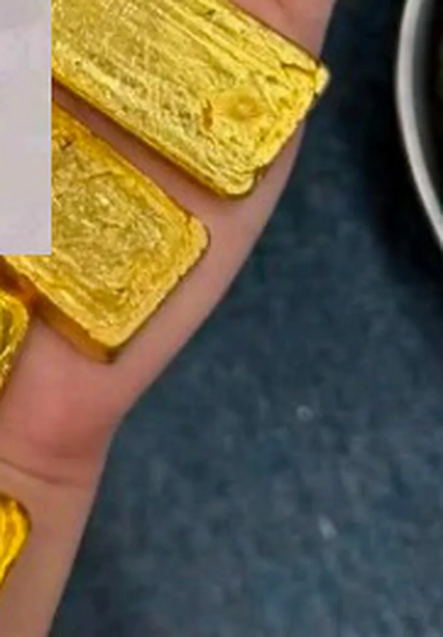 Gold Doré corridor photograph 2
