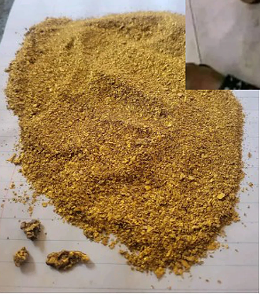 Gold Doré corridor photograph 3